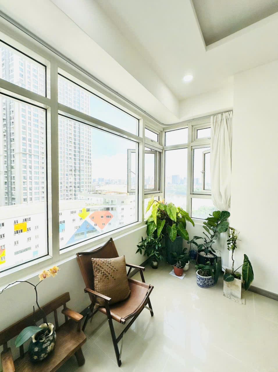 Góc trang trí cây cảnh trong nhà, có đón nắng sáng nên tươi tốt