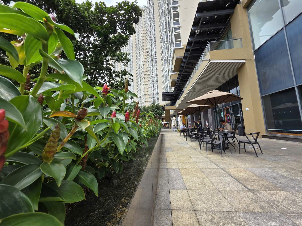 Cây cối ở Saigon Pearl xanh mát quanh năm